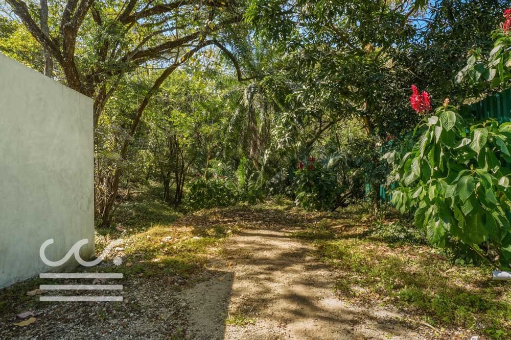 Selvamar pochote 4-Wanderlust-Sothebys-International-Realty-Nosara-Real-Estate-4.jpg