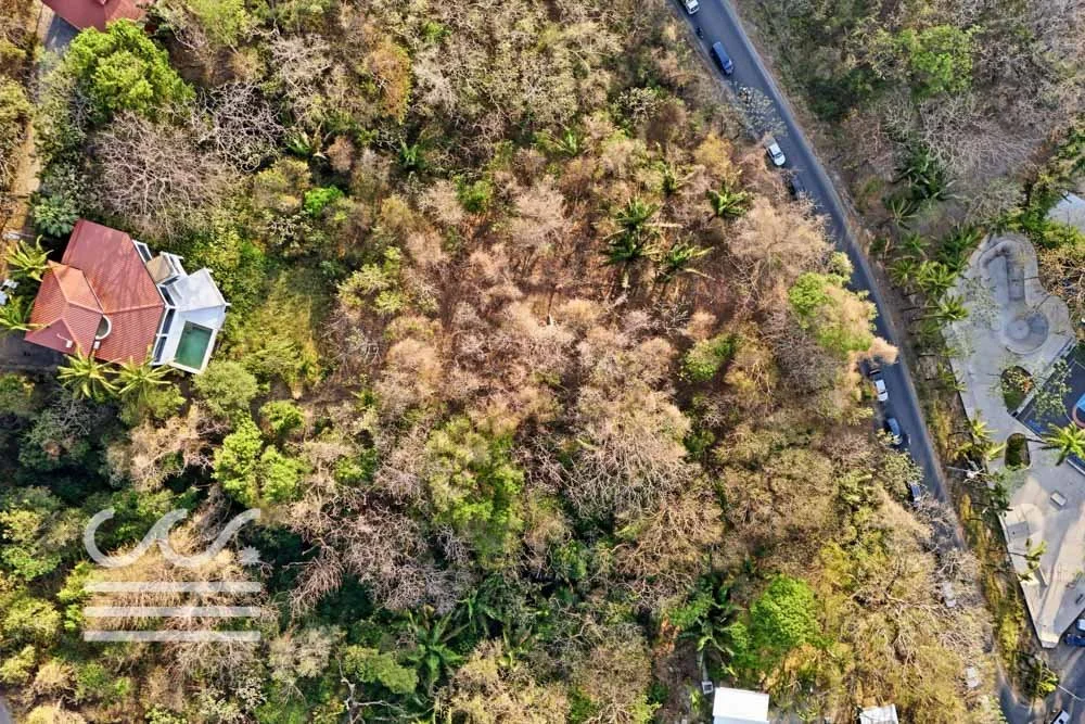 A9-SKATE PARK-Wanderlust-Sothebys-International-Realty-Nosara-Real-Estate-8.jpg