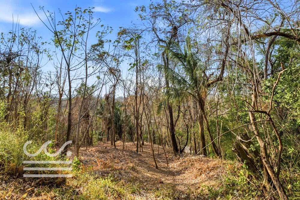 A9-SKATE PARK-Wanderlust-Sothebys-International-Realty-Nosara-Real-Estate-11.jpg