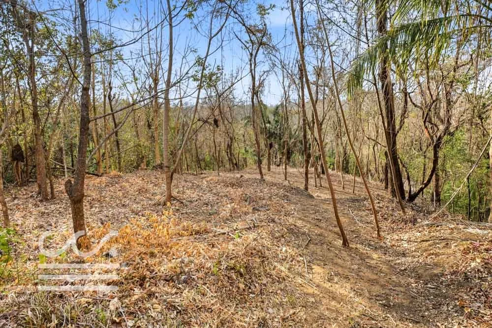 A9-SKATE PARK-Wanderlust-Sothebys-International-Realty-Nosara-Real-Estate-12.jpg