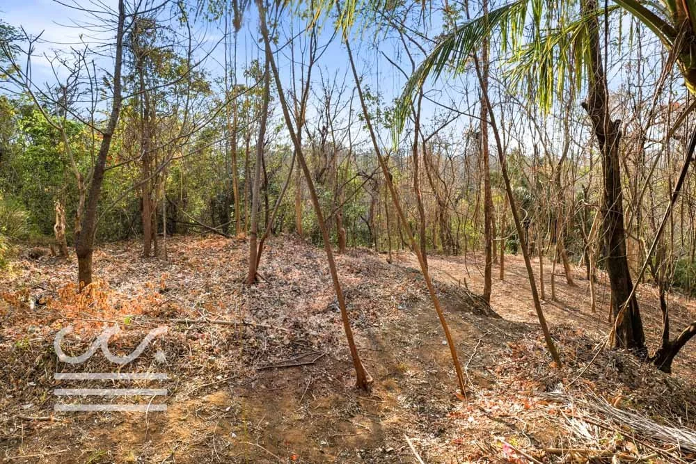 A9-SKATE PARK-Wanderlust-Sothebys-International-Realty-Nosara-Real-Estate-13.jpg