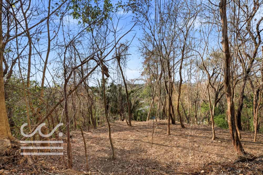 A9-SKATE PARK-Wanderlust-Sothebys-International-Realty-Nosara-Real-Estate-17.jpg