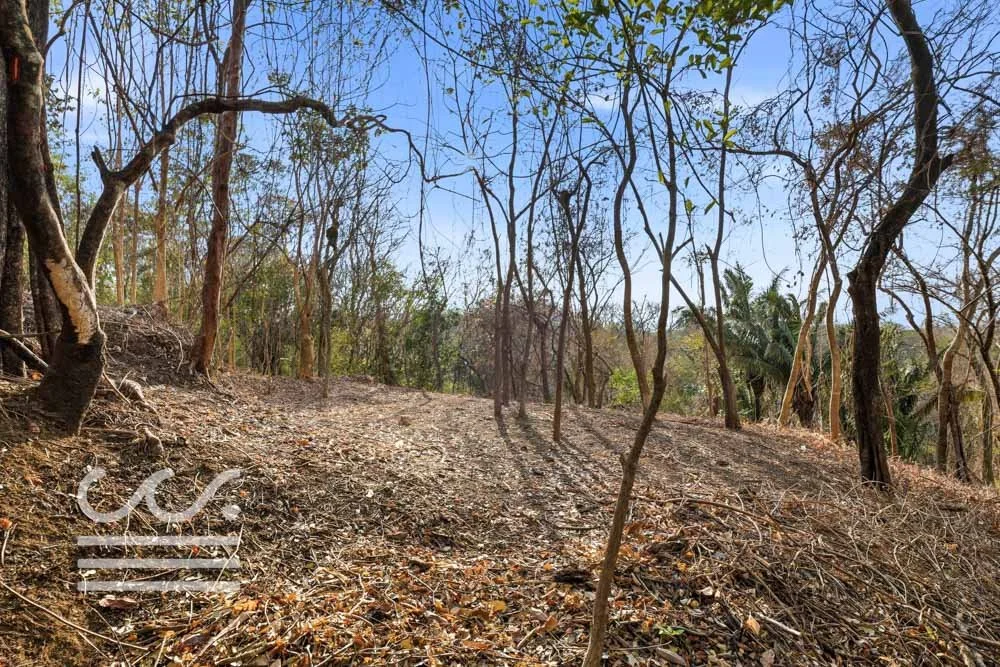 A9-SKATE PARK-Wanderlust-Sothebys-International-Realty-Nosara-Real-Estate-19.jpg