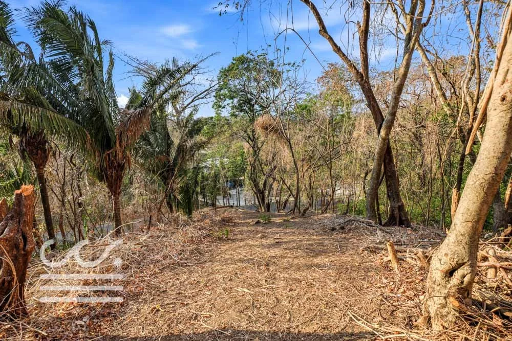 A9-SKATE PARK-Wanderlust-Sothebys-International-Realty-Nosara-Real-Estate-22.jpg