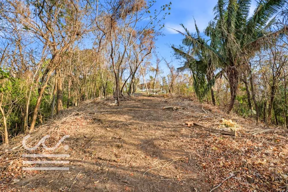 A9-SKATE PARK-Wanderlust-Sothebys-International-Realty-Nosara-Real-Estate-25.jpg