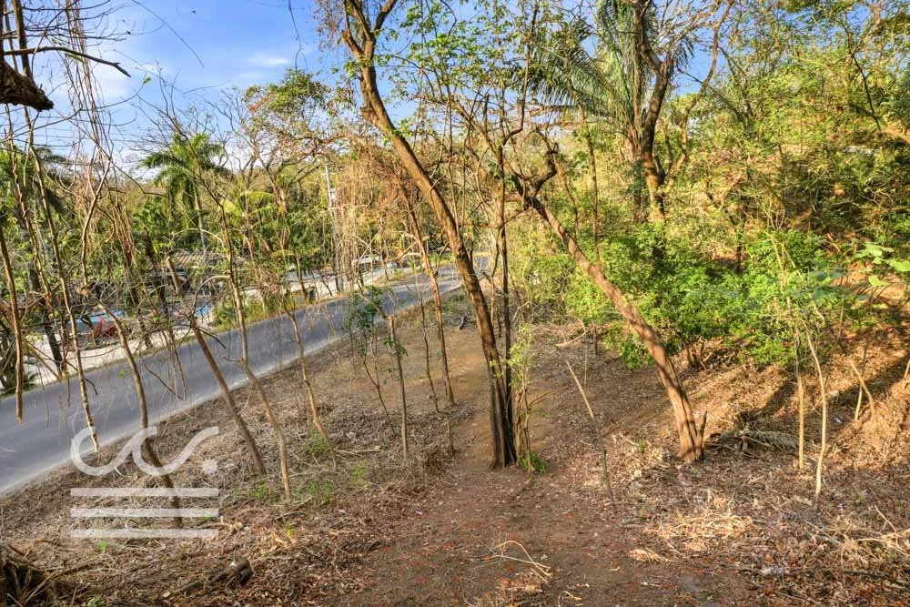 A9-SKATE PARK-Wanderlust-Sothebys-International-Realty-Nosara-Real-Estate-26.jpg