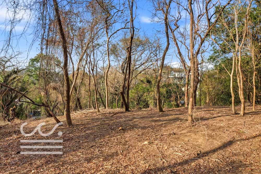 A9-SKATE PARK-Wanderlust-Sothebys-International-Realty-Nosara-Real-Estate-27.jpg