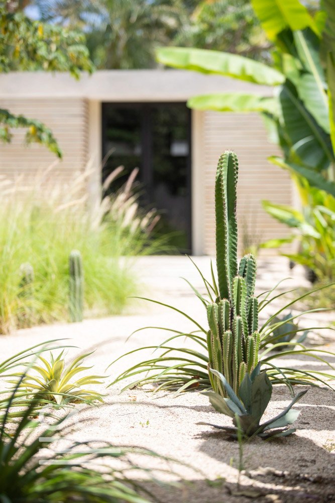 La Maison-Selects-Wanderlust-Sothebys-International-Realty-Nosara-Real-Estate-52.jpg