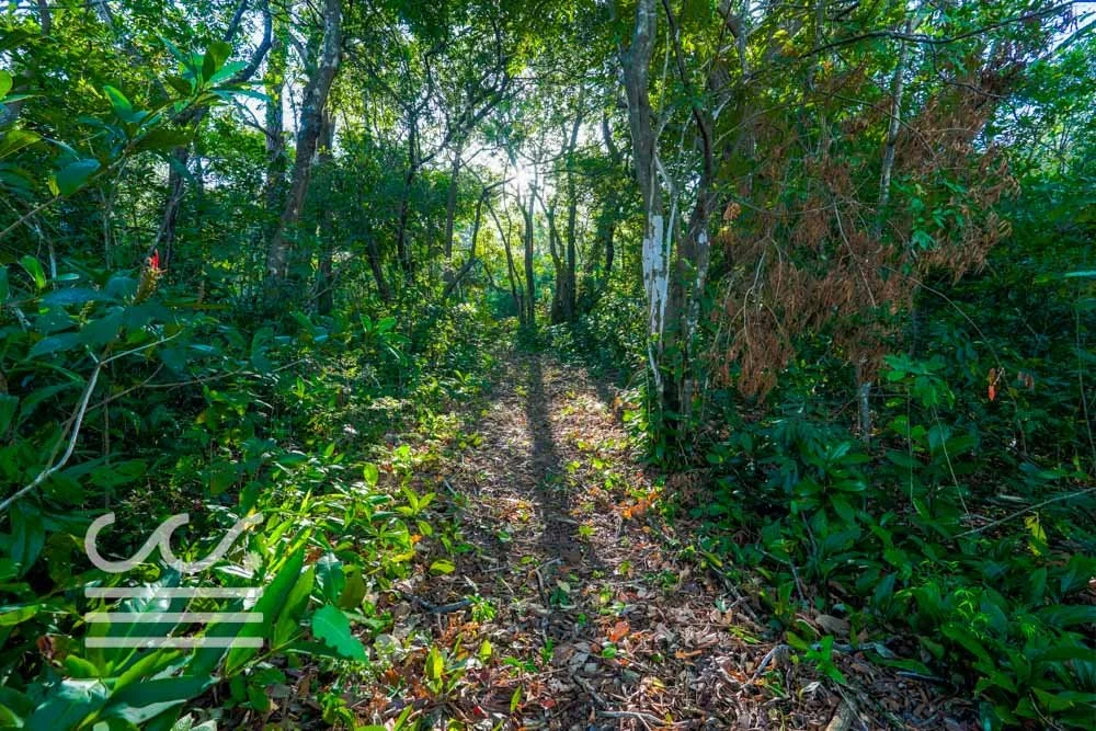 Copy of Bosque Verde-5136447-000-Wanderlust-Sothebys-International-Realty-Nosara-Real-Estate-4.jpg