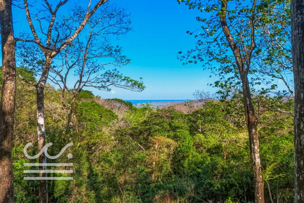 Copy of Bosque Verde-5136447-000-Wanderlust-Sothebys-International-Realty-Nosara-Real-Estate-6.jpg