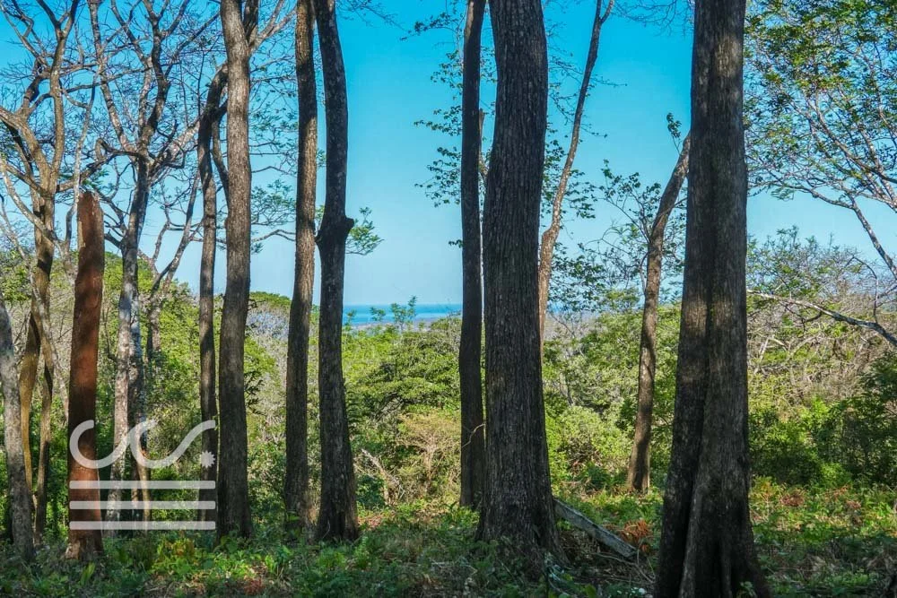 Copy of Bosque Verde-5136447-000-Wanderlust-Sothebys-International-Realty-Nosara-Real-Estate-9.jpg