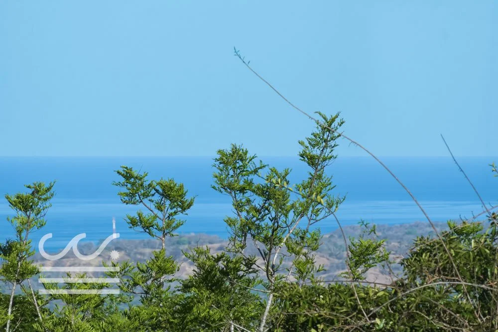 Copy of Bosque Verde-5136447-000-Wanderlust-Sothebys-International-Realty-Nosara-Real-Estate-11.jpg