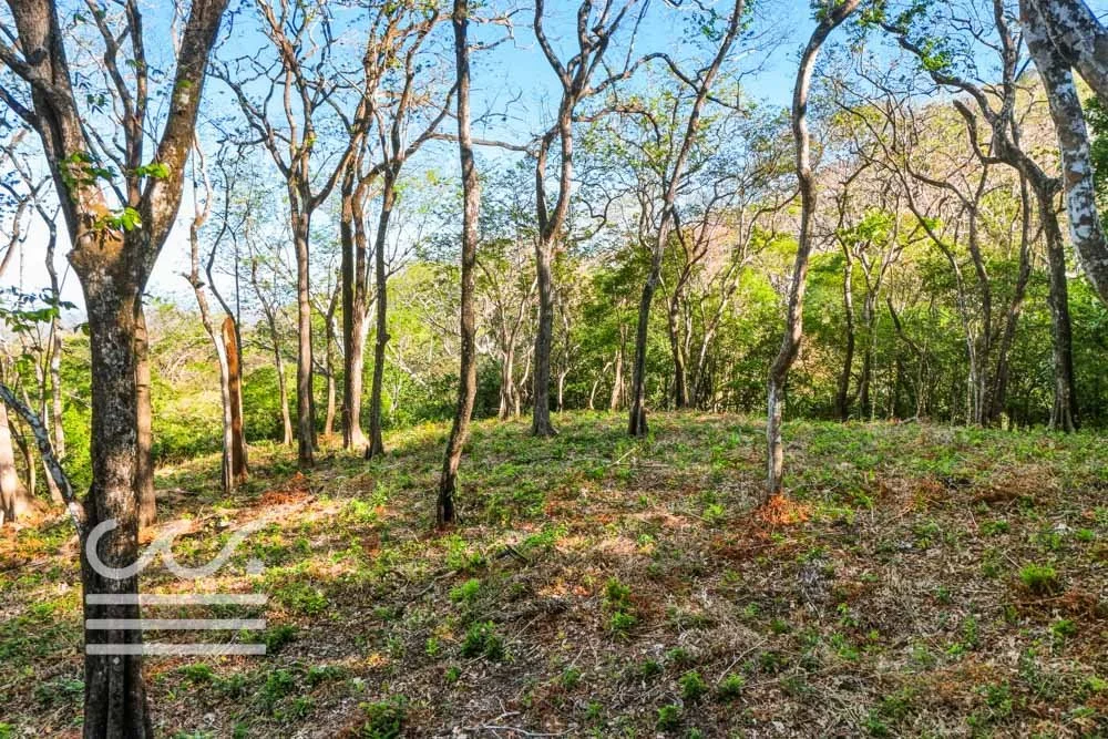 Copy of Bosque Verde-5136447-000-Wanderlust-Sothebys-International-Realty-Nosara-Real-Estate-14.jpg