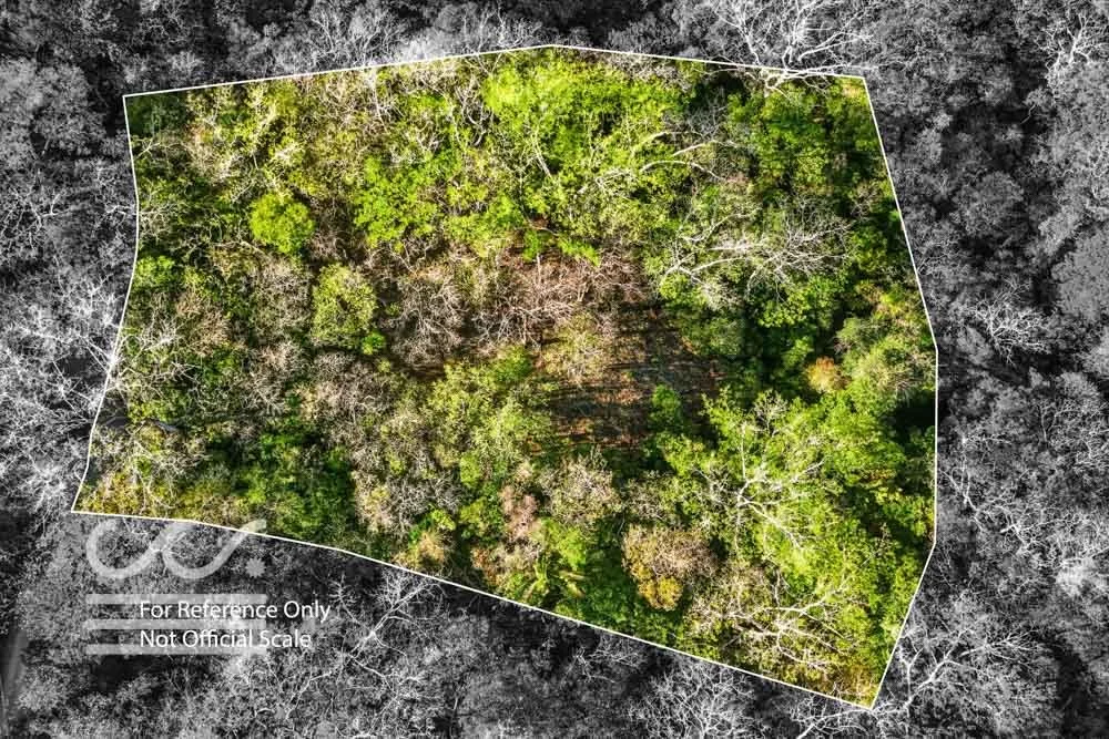 Copy of Bosque Verde-5136447-000-Wanderlust-Sothebys-International-Realty-Nosara-Real-Estate-18.jpg