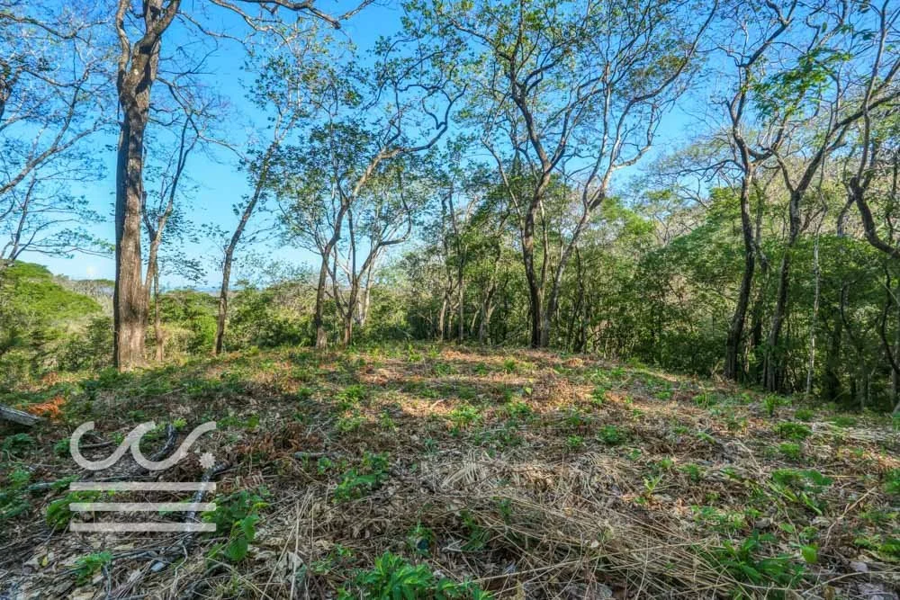 Copy of Bosque Verde-5136447-000-Wanderlust-Sothebys-International-Realty-Nosara-Real-Estate-23.jpg