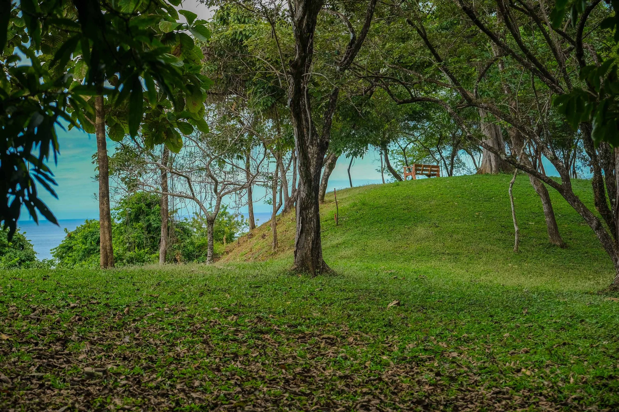DSCF0176.jpg
