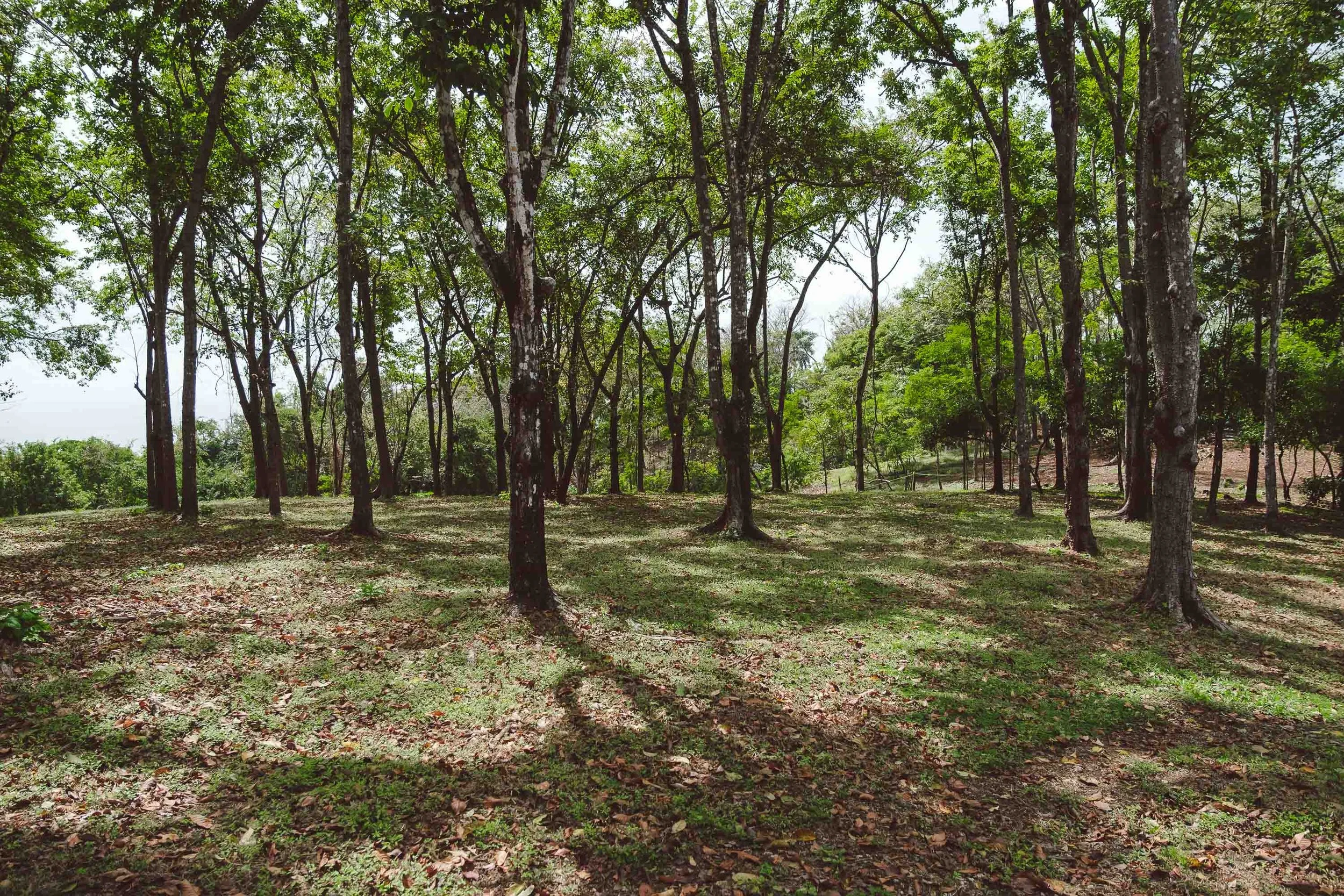 DSCF1085.jpg