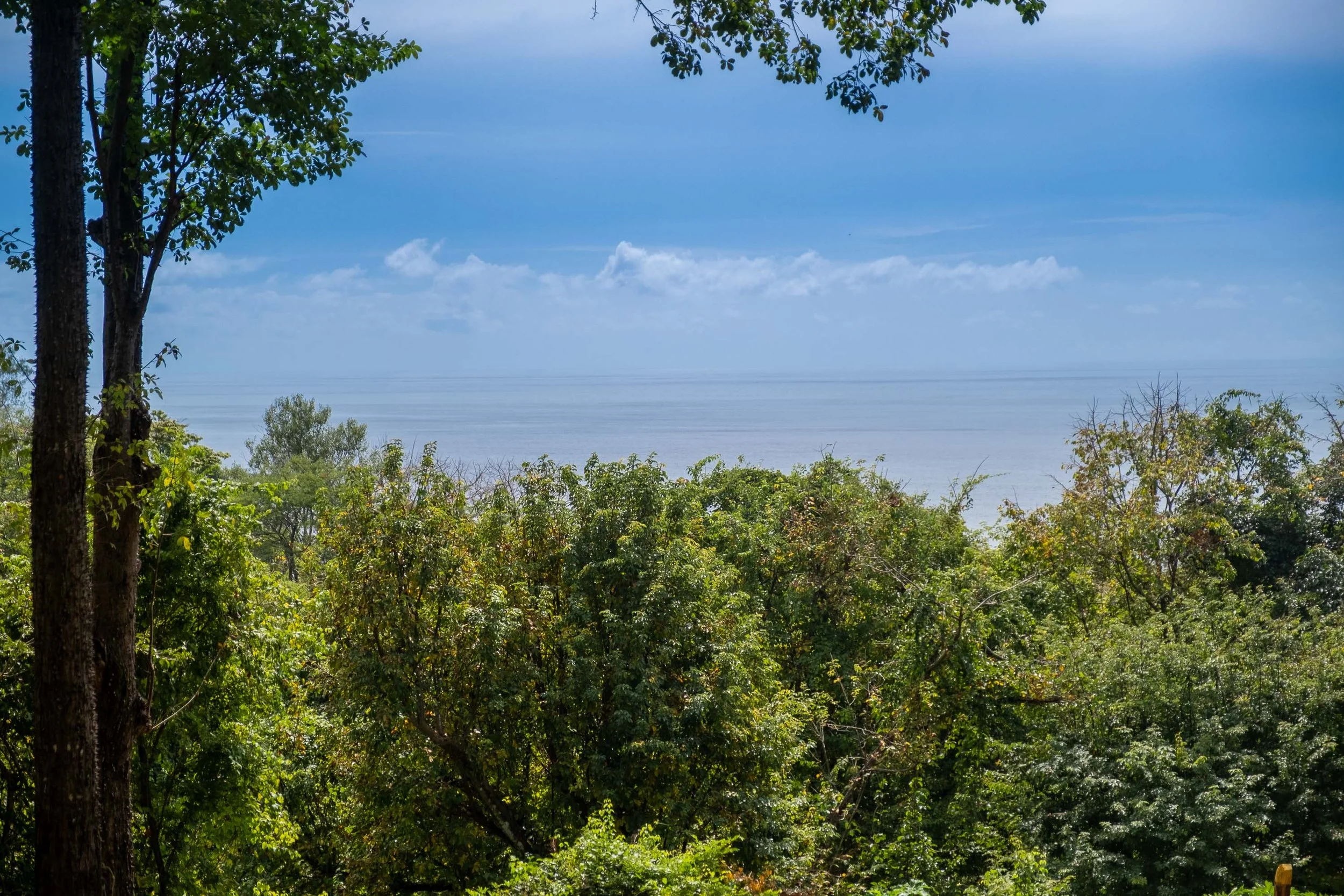 DSCF1102.jpg