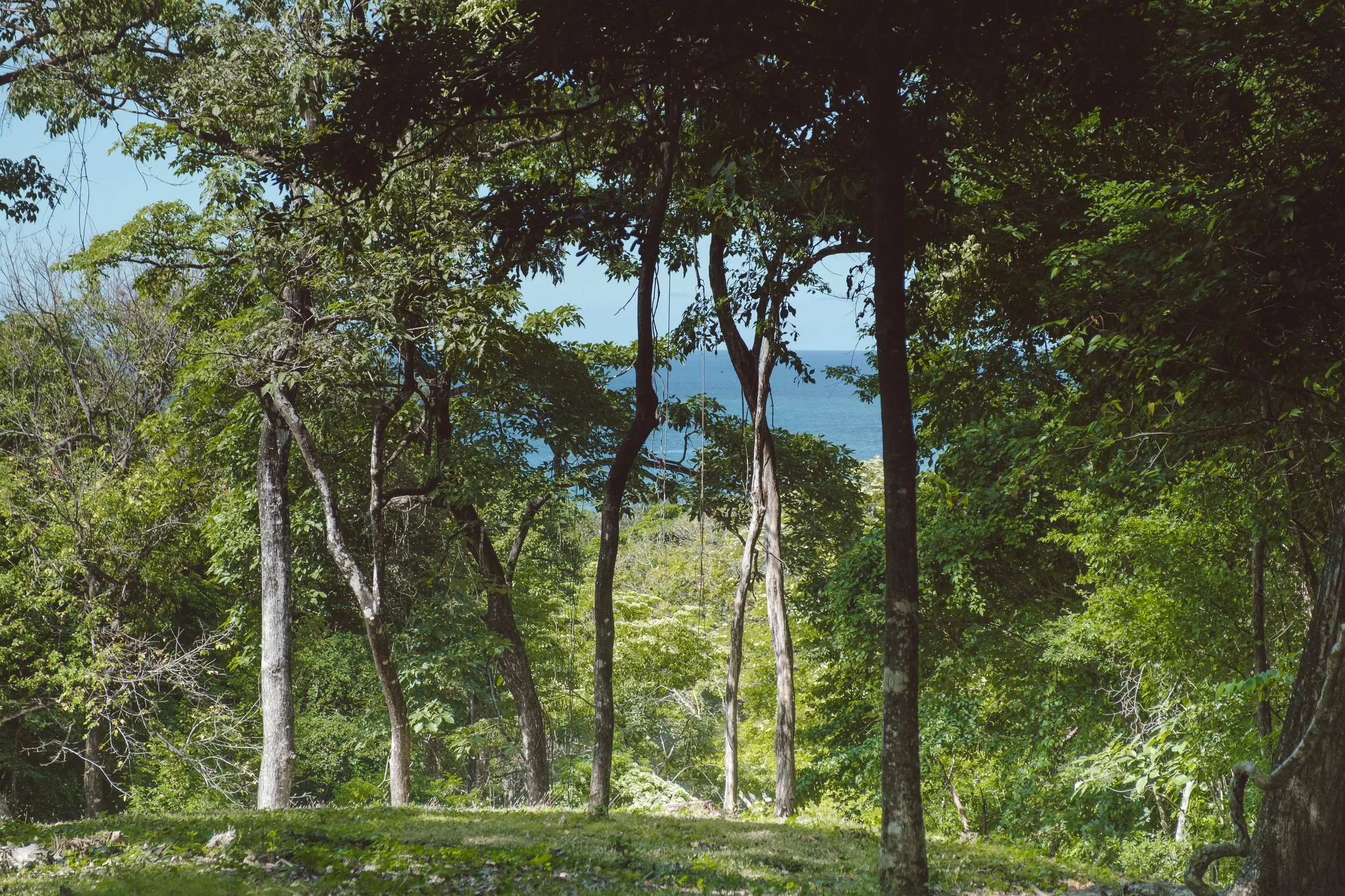 DSCF1063.jpg