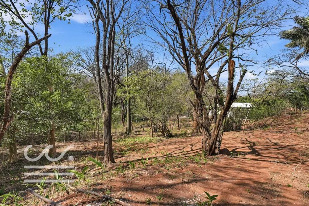 Esperanza -Highlands SJ-Wanderlust-Sothebys-International-Realty-Nosara-Real-Estate-22.jpg