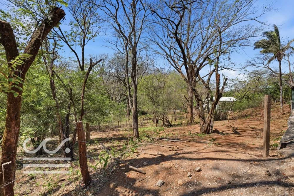 Esperanza -Highlands SJ-Wanderlust-Sothebys-International-Realty-Nosara-Real-Estate-23.jpg