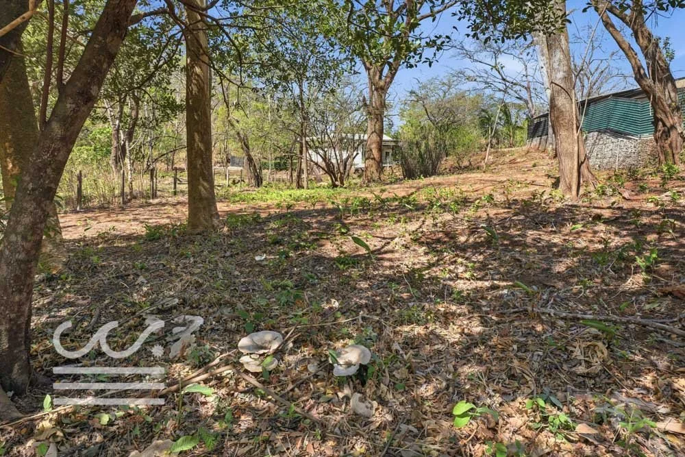 Esperanza -Highlands SJ-Wanderlust-Sothebys-International-Realty-Nosara-Real-Estate-31.jpg