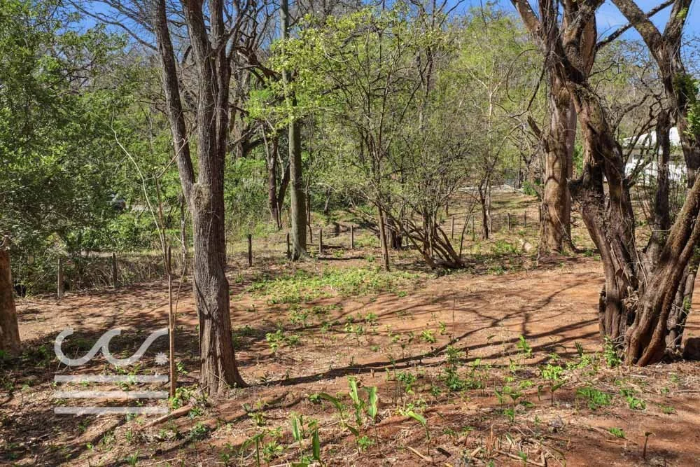 Esperanza -Highlands SJ-Wanderlust-Sothebys-International-Realty-Nosara-Real-Estate-35.jpg