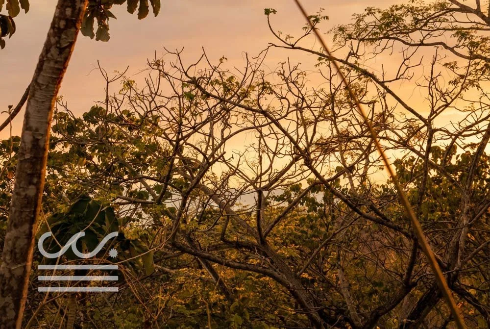 Villas Gemelas-Wanderlust-Sothebys-International-Realty-Nosara-Real-Estate-Wanderlust-Sothebys-International-Realty-Nosara-Real-Estate-9.jpg