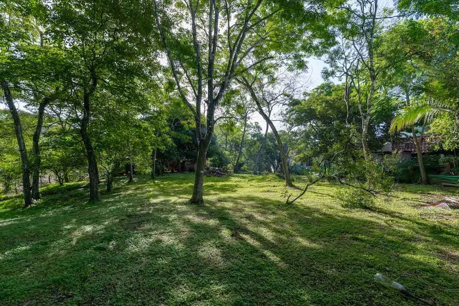 Mixed Use Front Road Marbella