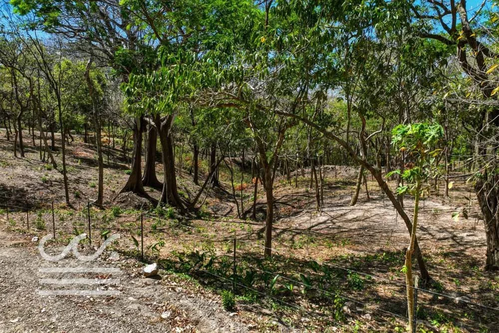 Delicias-Lote6-B-Wanderlust-Sothebys-International-Realty-Nosara-Real-Estate-8.jpg