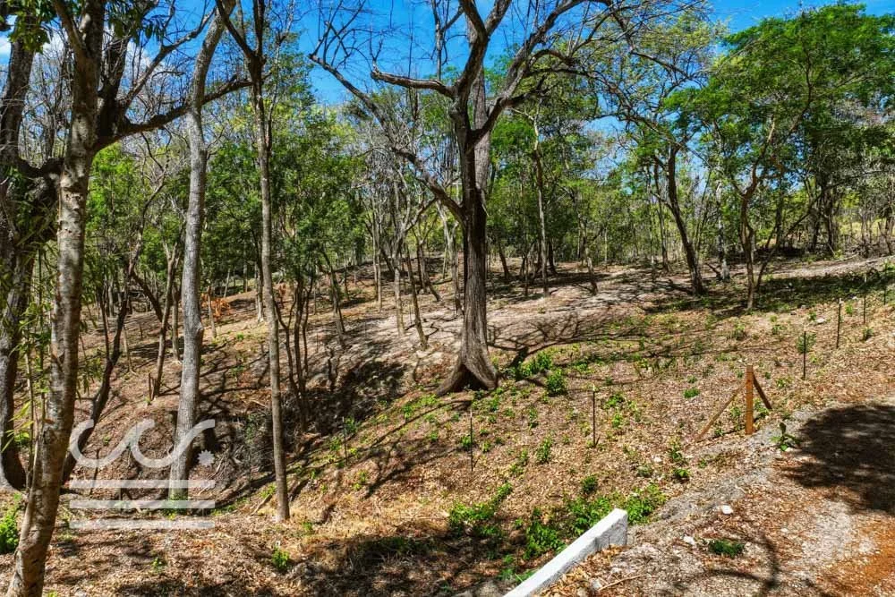 Delicias-Lote6-B-Wanderlust-Sothebys-International-Realty-Nosara-Real-Estate-9.jpg