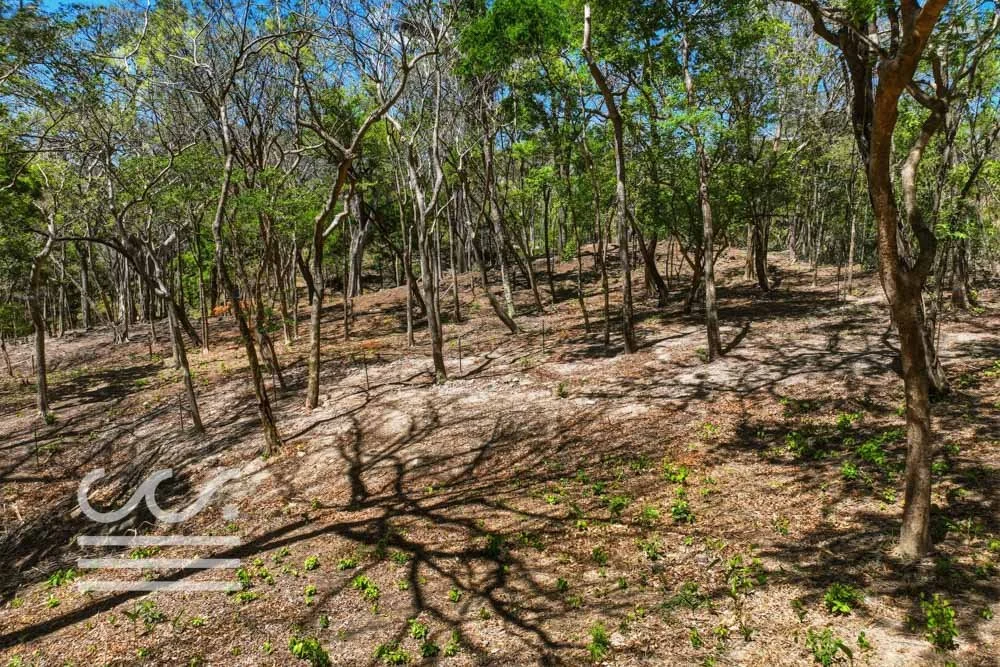 Delicias-Lote6-B-Wanderlust-Sothebys-International-Realty-Nosara-Real-Estate-10.jpg