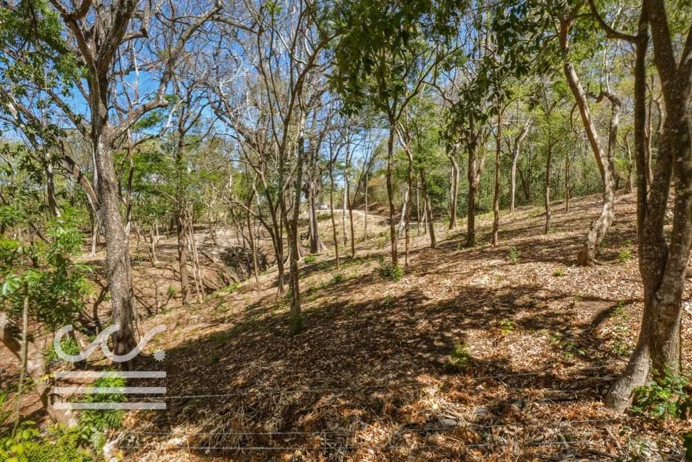 Delicias-Lote6-B-Wanderlust-Sothebys-International-Realty-Nosara-Real-Estate-11.jpg