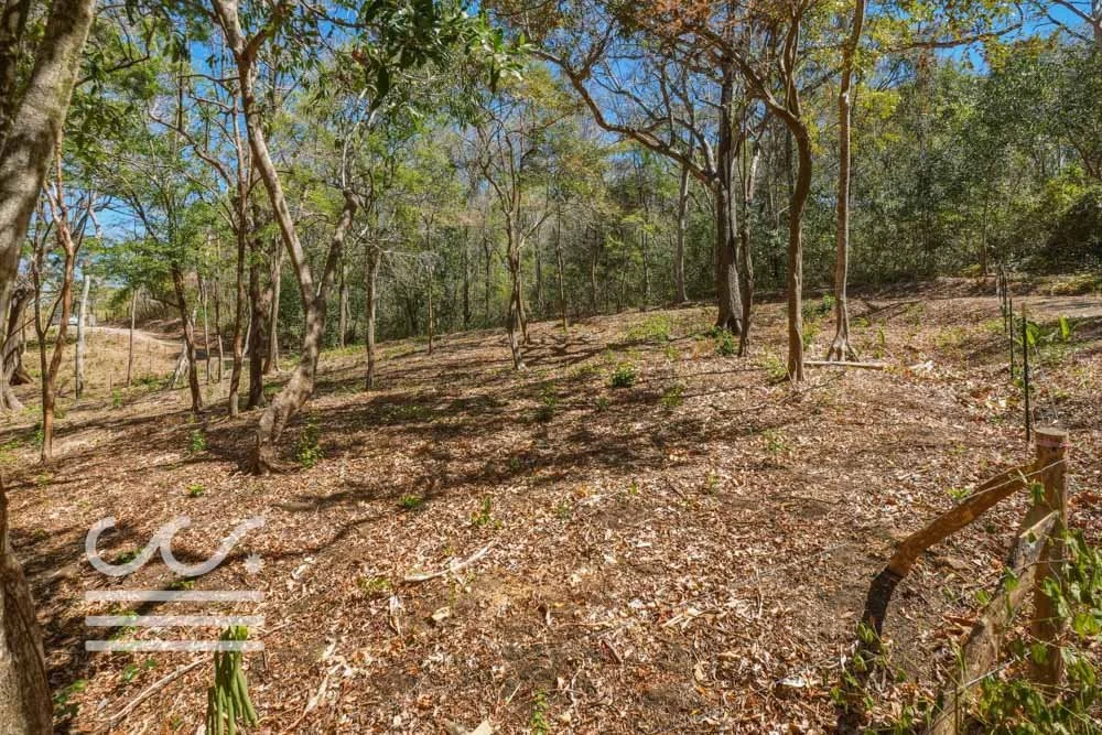 Delicias-Lote6-B-Wanderlust-Sothebys-International-Realty-Nosara-Real-Estate-12.jpg