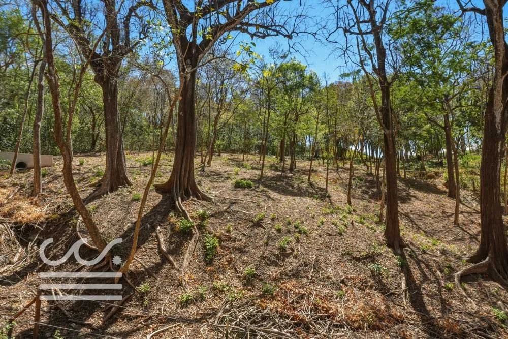 Delicias-Lote6-B-Wanderlust-Sothebys-International-Realty-Nosara-Real-Estate-13.jpg