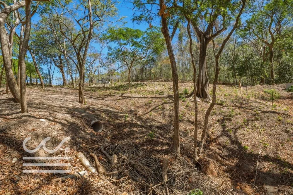 Delicias-Lote6-B-Wanderlust-Sothebys-International-Realty-Nosara-Real-Estate-14.jpg