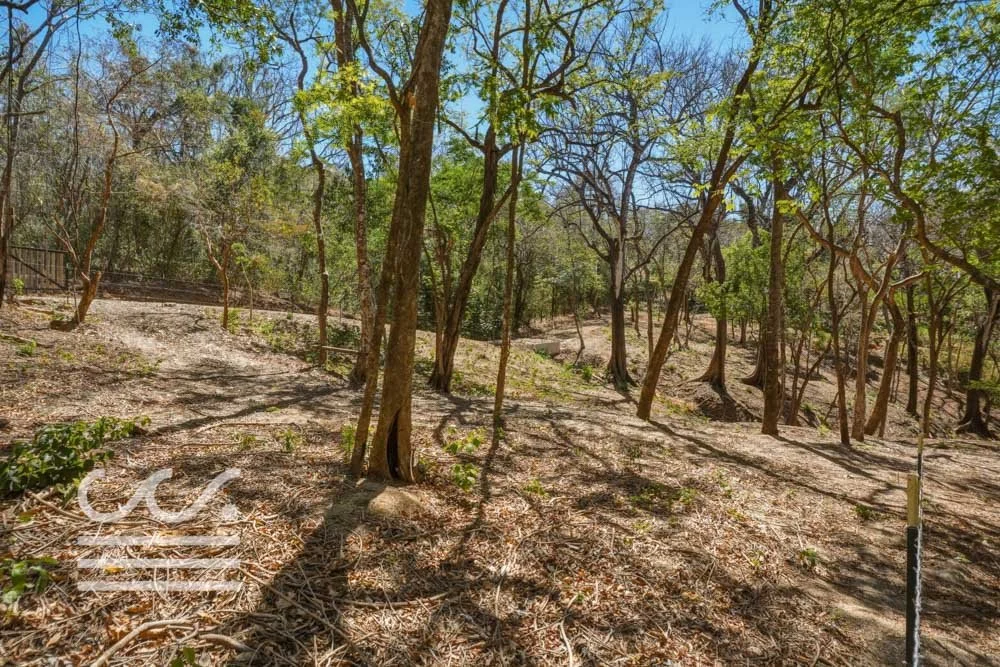 Delicias-Lote6-B-Wanderlust-Sothebys-International-Realty-Nosara-Real-Estate-15.jpg
