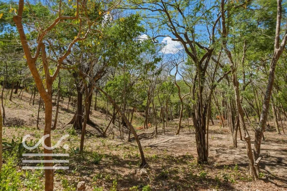 Delicias-Lote6-B-Wanderlust-Sothebys-International-Realty-Nosara-Real-Estate-16.jpg
