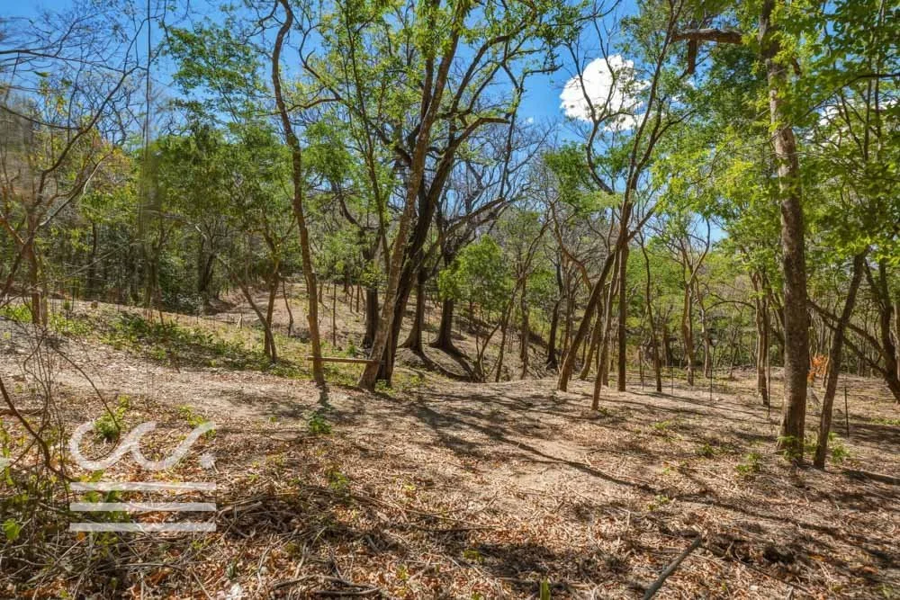 Delicias-Lote6-B-Wanderlust-Sothebys-International-Realty-Nosara-Real-Estate-17.jpg