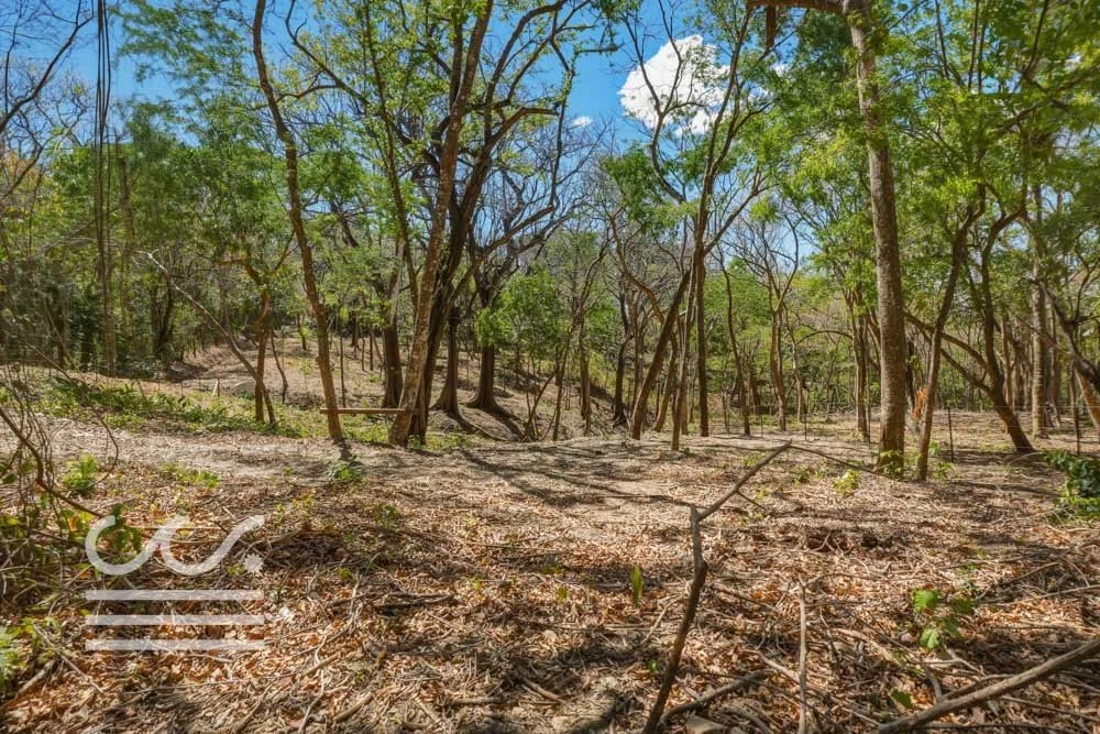 Delicias-Lote6-B-Wanderlust-Sothebys-International-Realty-Nosara-Real-Estate-18.jpg