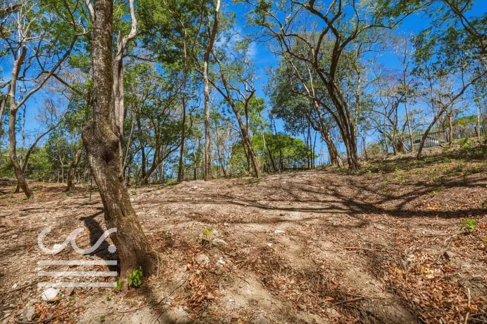 Delicias-Lote6-B-Wanderlust-Sothebys-International-Realty-Nosara-Real-Estate-19.jpg