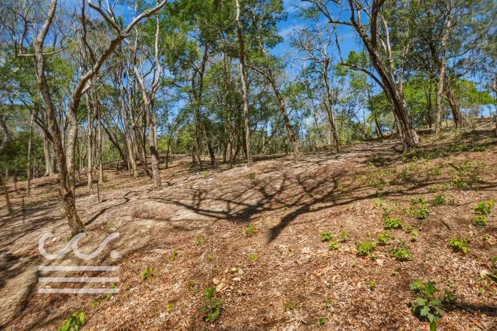 Delicias-Lote6-B-Wanderlust-Sothebys-International-Realty-Nosara-Real-Estate-20.jpg