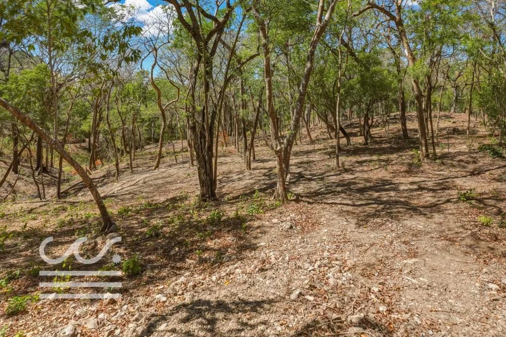 Delicias-Lote6-B-Wanderlust-Sothebys-International-Realty-Nosara-Real-Estate-21.jpg