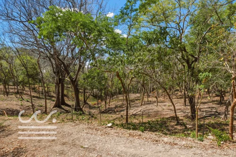 Delicias-Lote6-B-Wanderlust-Sothebys-International-Realty-Nosara-Real-Estate-22.jpg