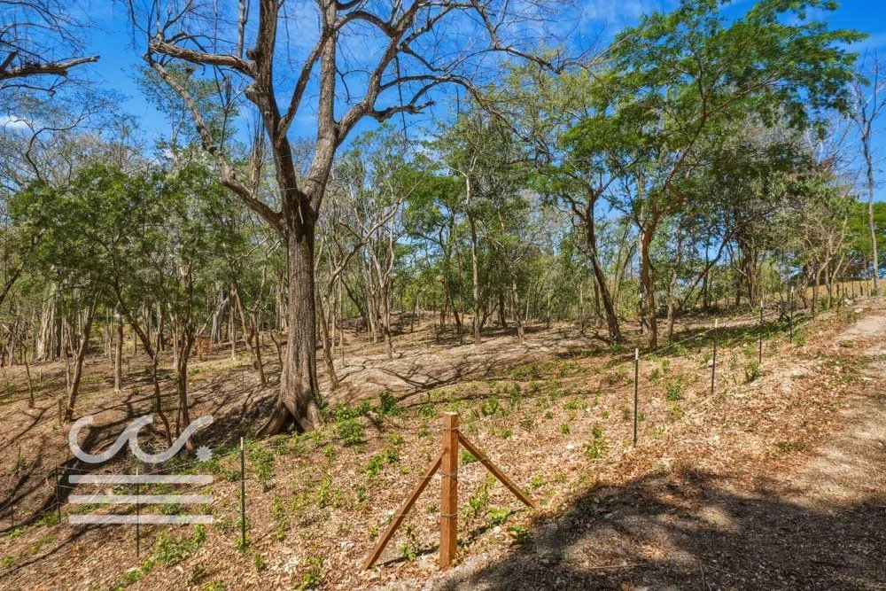 Delicias-Lote6-B-Wanderlust-Sothebys-International-Realty-Nosara-Real-Estate-23.jpg