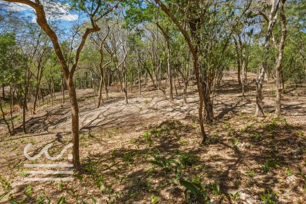 Delicias-Lote6-B-Wanderlust-Sothebys-International-Realty-Nosara-Real-Estate-24.jpg