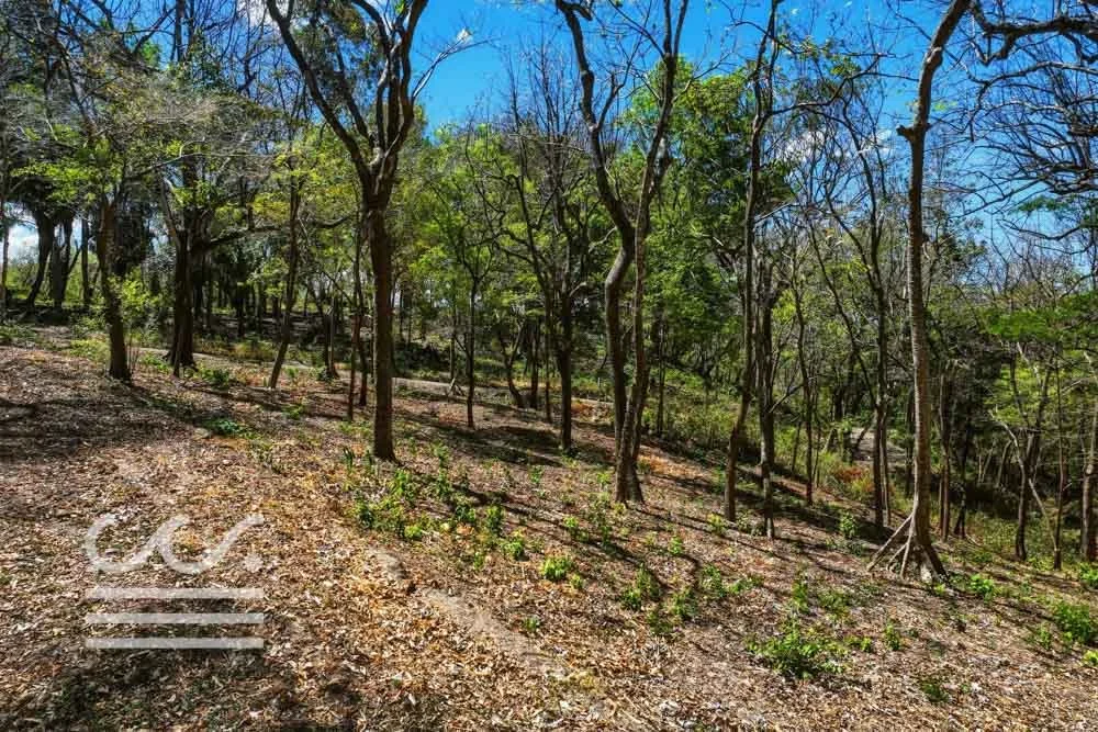 Delicias-Nathan-Lote-6C-Wanderlust-Sothebys-International-Realty-Nosara-Real-Estate-8.jpg