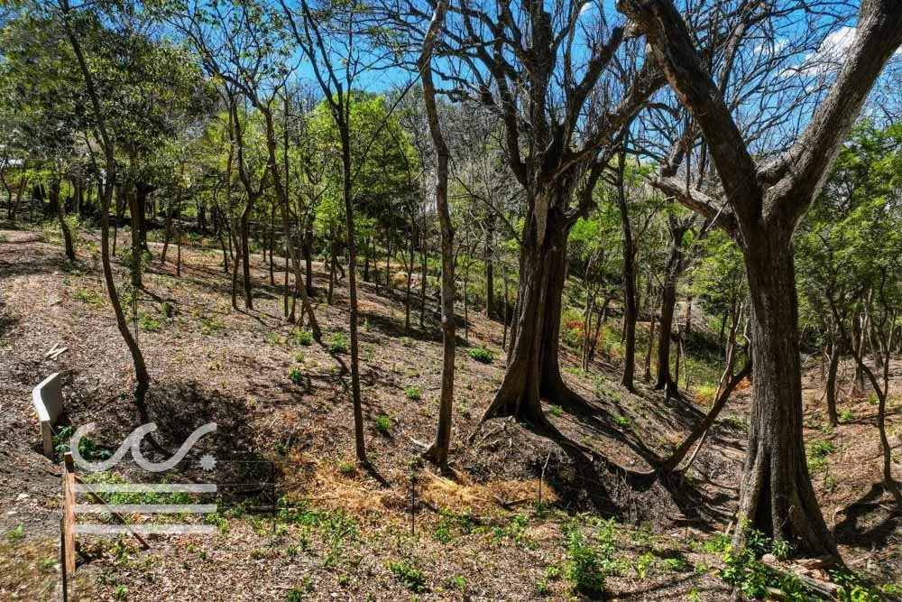 Delicias-Nathan-Lote-6C-Wanderlust-Sothebys-International-Realty-Nosara-Real-Estate-9.jpg