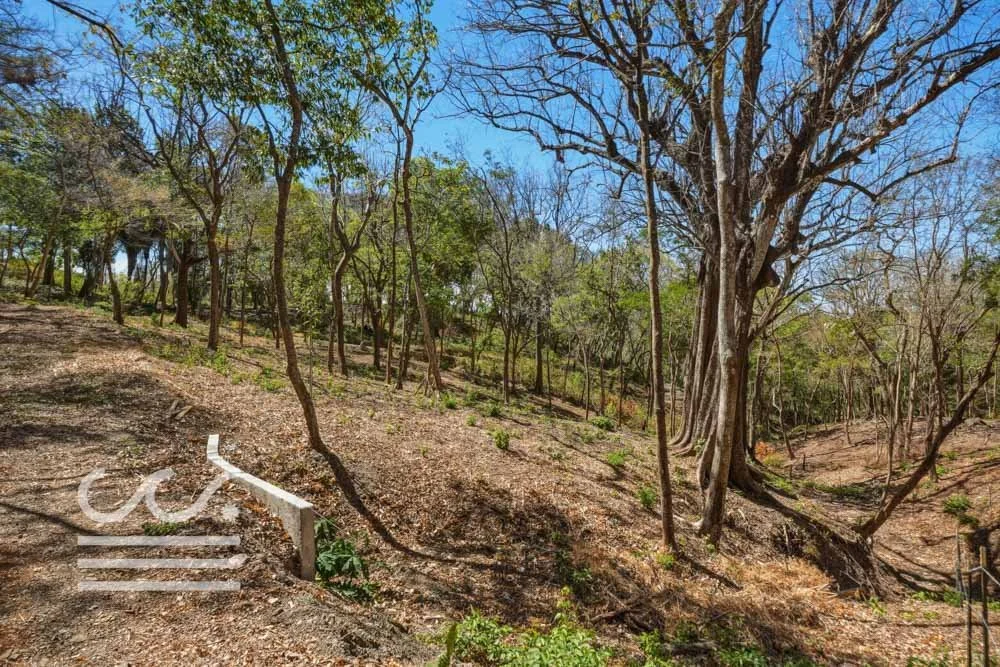 Delicias-Nathan-Lote-6C-Wanderlust-Sothebys-International-Realty-Nosara-Real-Estate-10.jpg
