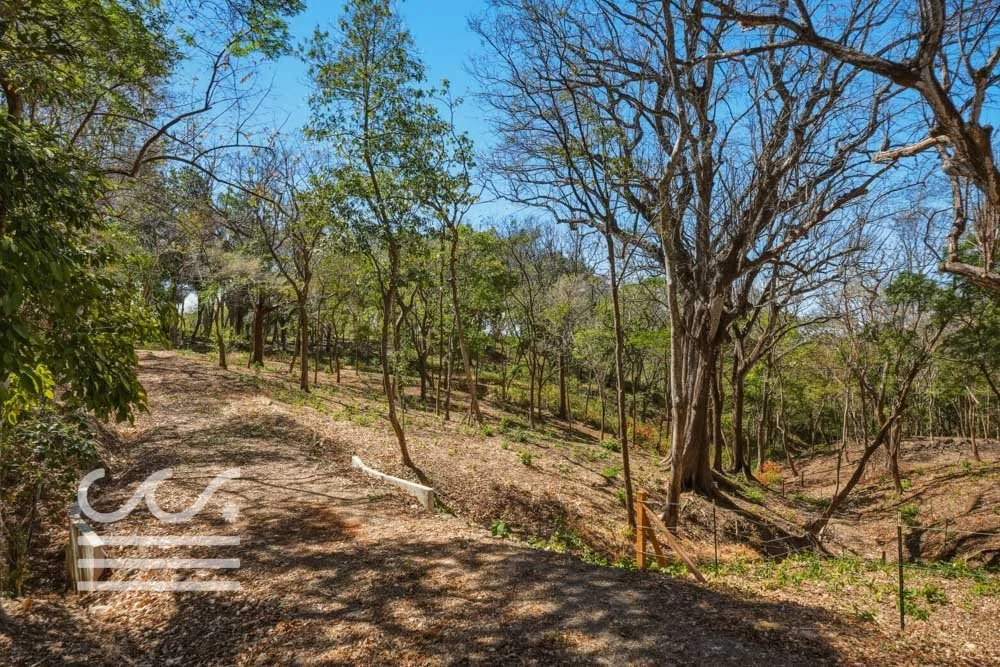Delicias-Nathan-Lote-6C-Wanderlust-Sothebys-International-Realty-Nosara-Real-Estate-11.jpg